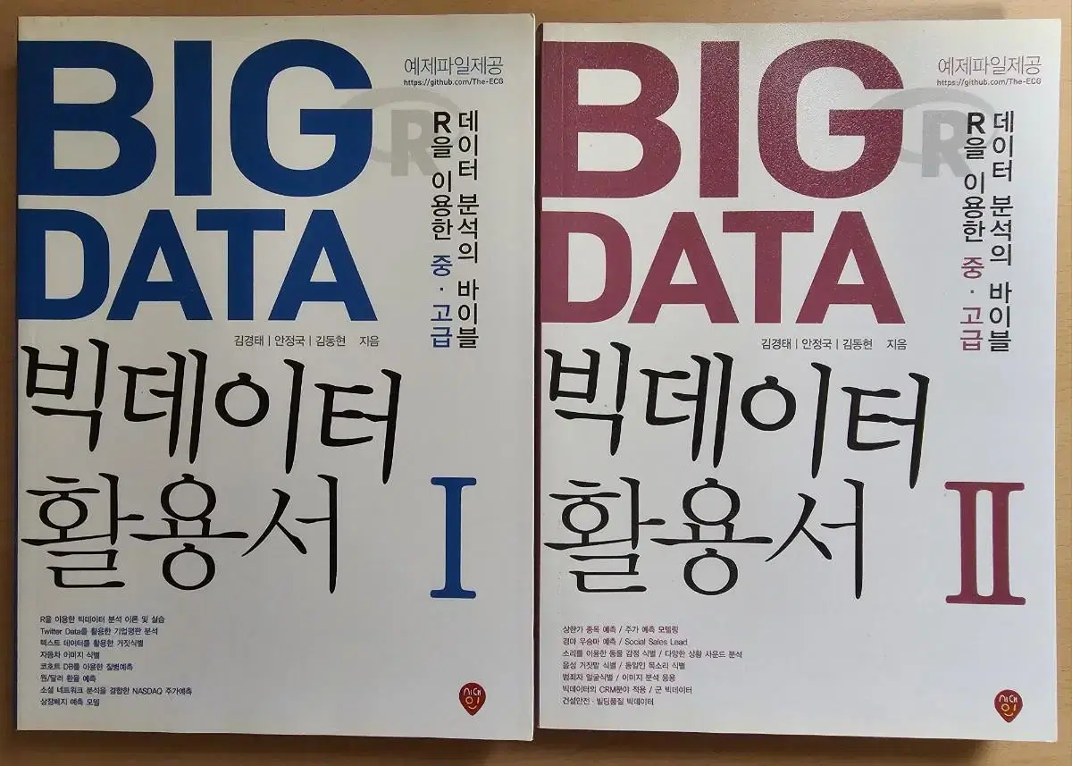 빅데이터 활용서 I II (Big Data)